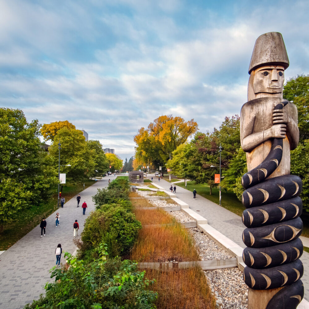 53470759539_bbd62ae36d_o